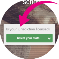 Screenshot of jurisdiction dropdown